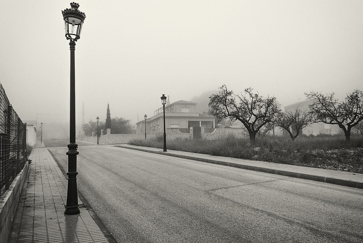 "Maana con farolas" de Francisco Jos Cerd Ortiz