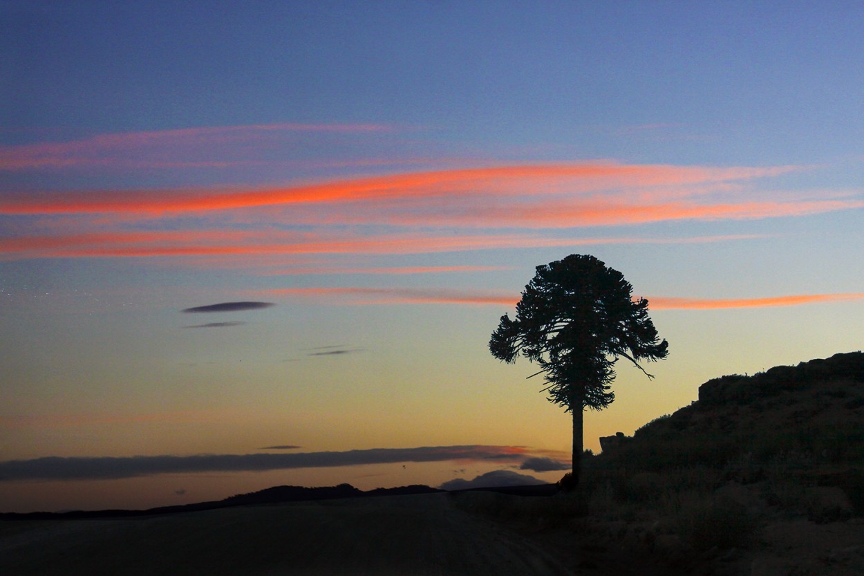 "Atardecer en el camino" de Eli - Elisabet Ferrari