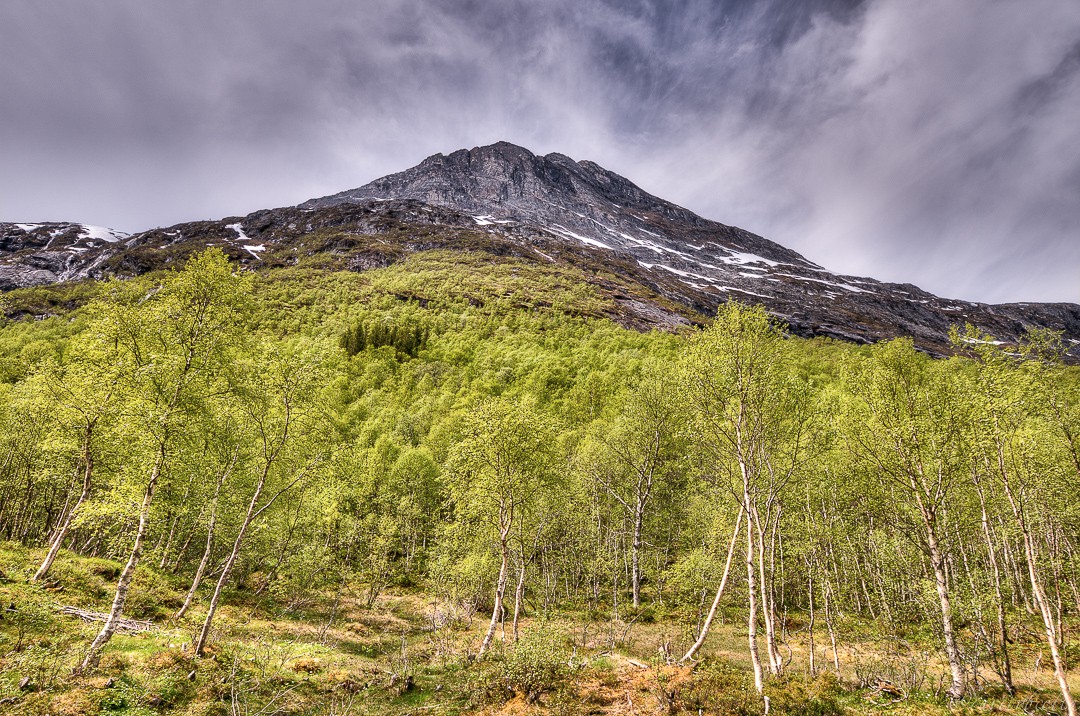 "Norge 044 Hellesylt" de David Roldn