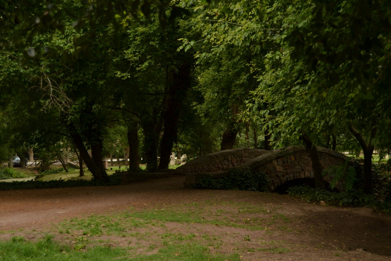 "Camino hacia mi." de Trabichet Eliana Florencia