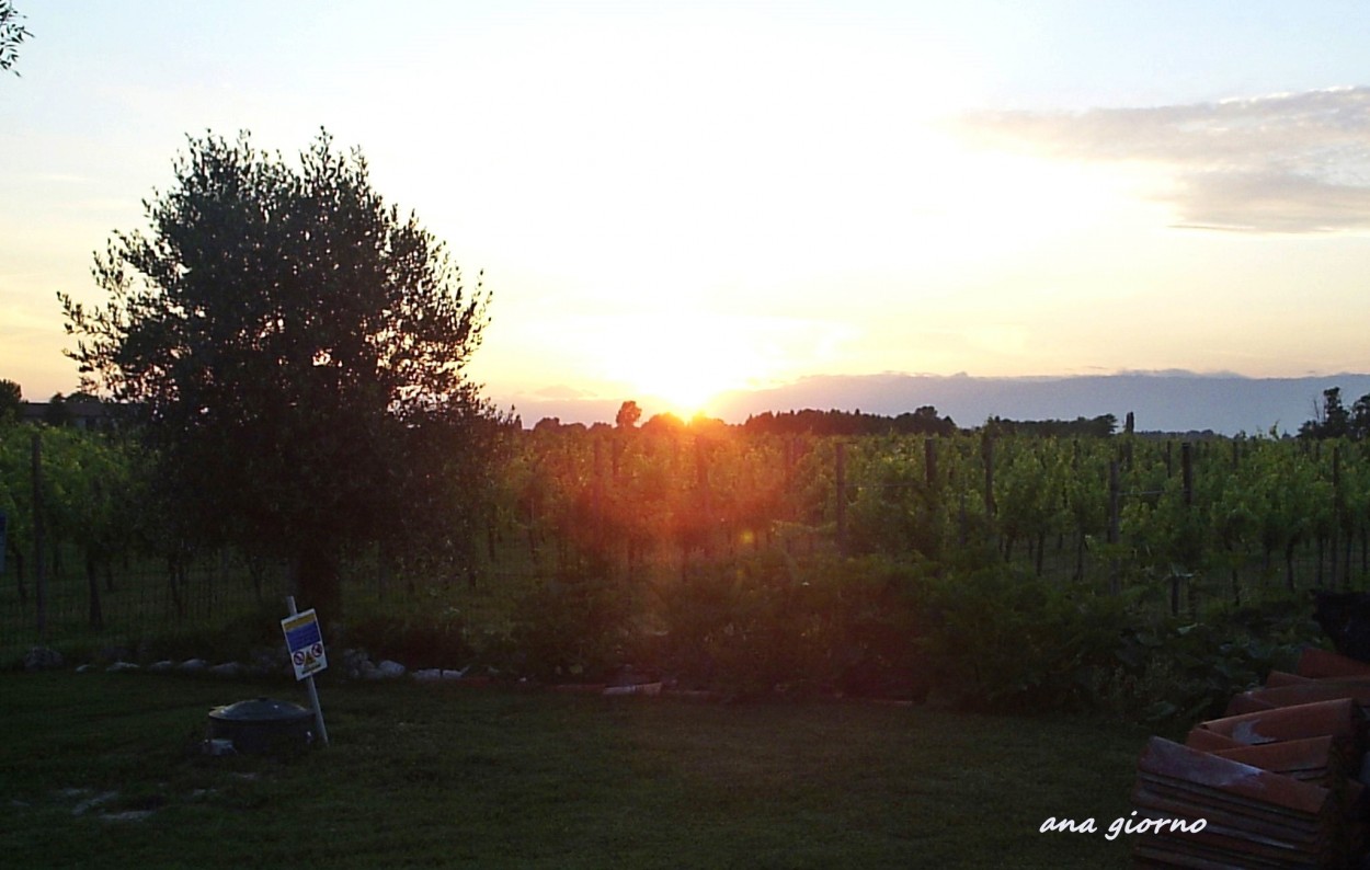 "El sol en la via" de Ana Giorno