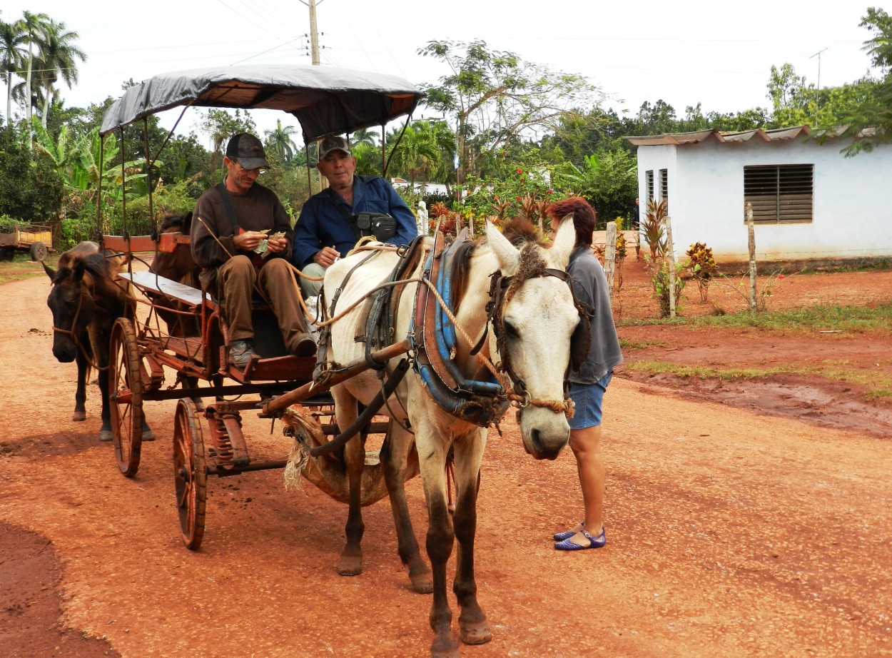 "A pasear en coche" de Lzaro David Najarro Pujol