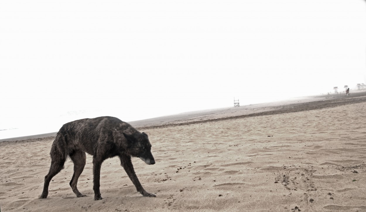 "Tristeza sin fin" de Eduardo Ponssa