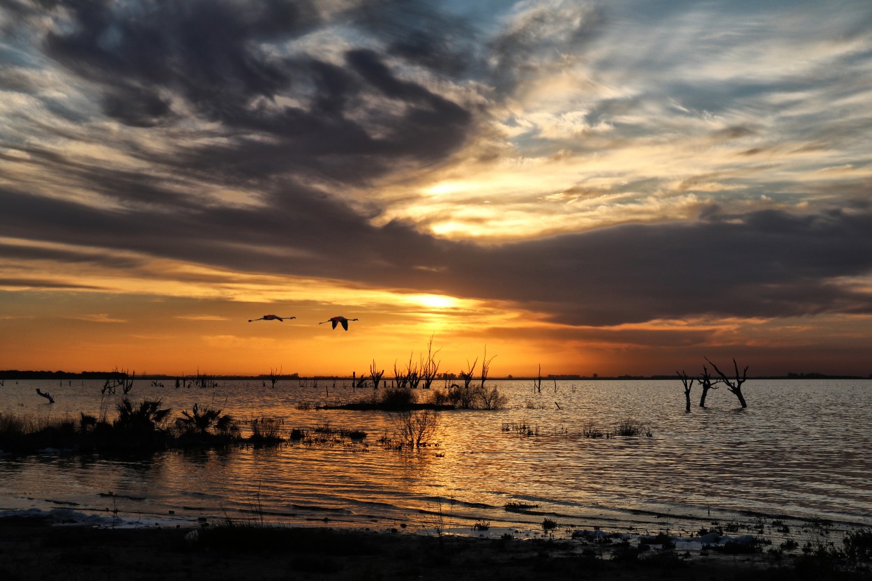 "Tranquilo atardecer en la laguna..." de Juan Carlos Barilari