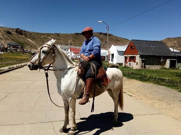 "Nuestros criollos Sureos en Copahue Neuqun" de Ana Mara Spoor