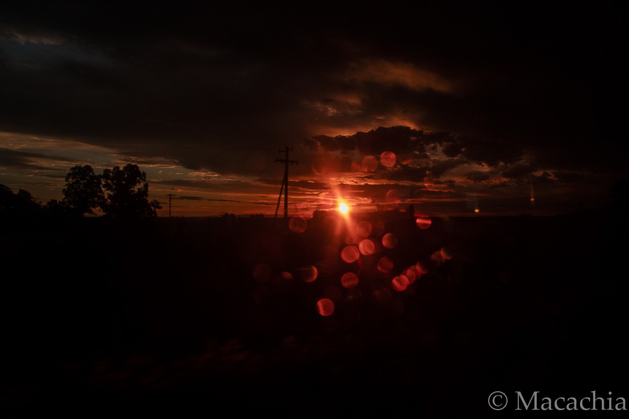 "`Bokeh en el ocaso`" de Mara Del Carmen Chiavaro