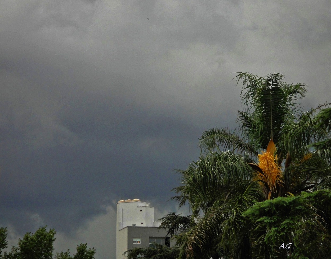 "tormenton," de Ana Giorno