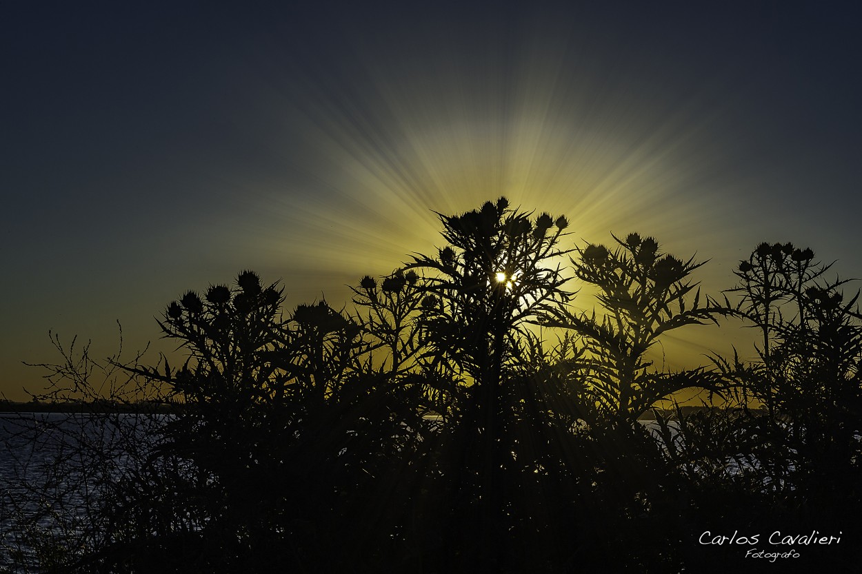 "Atardecer en Cascallares..." de Carlos Cavalieri