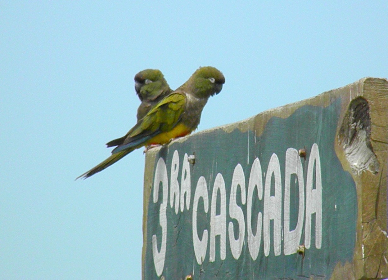 "3Cascada" de Carlos Gustavo Ayliffe