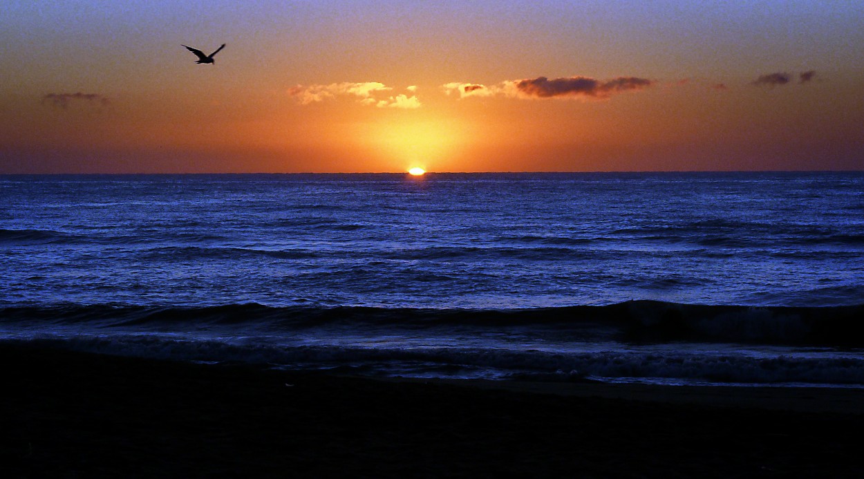 "Amanecer en la costa..." de Juan Carlos Barilari