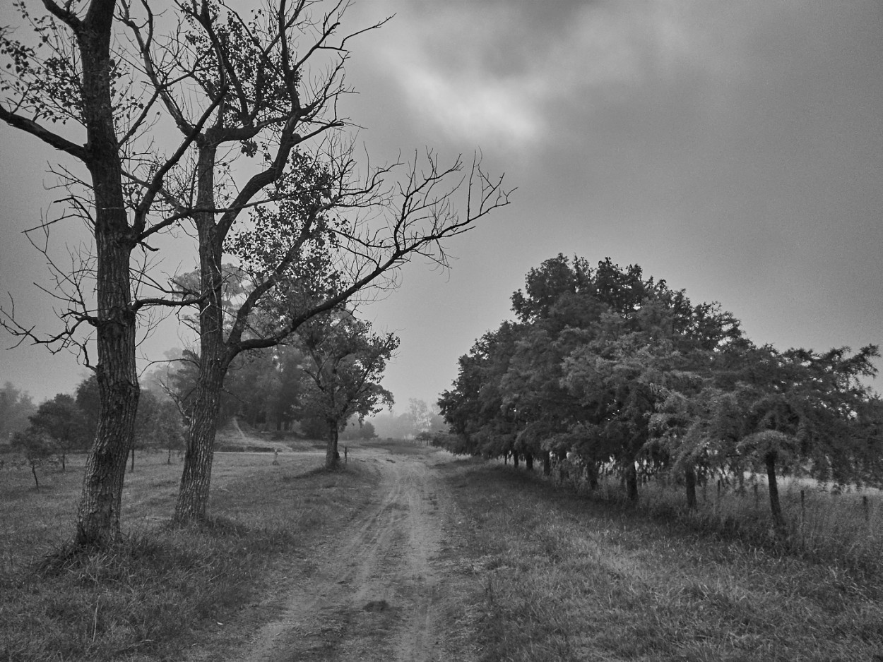 "Da gris en blanco y negro" de Fernando Valdez Vazquez