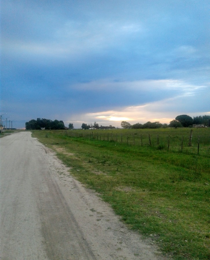 "Campos de Vidal" de Isabel Corbera