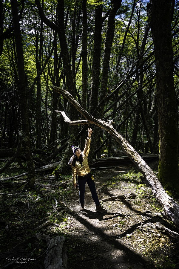 "Jugando por el Bosque..." de Carlos Cavalieri