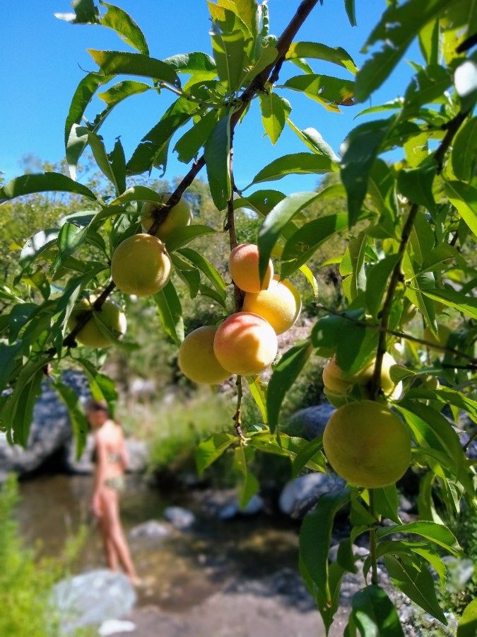 "Delicias de la Quebrada de San Ambrosio." de Magali Villalva