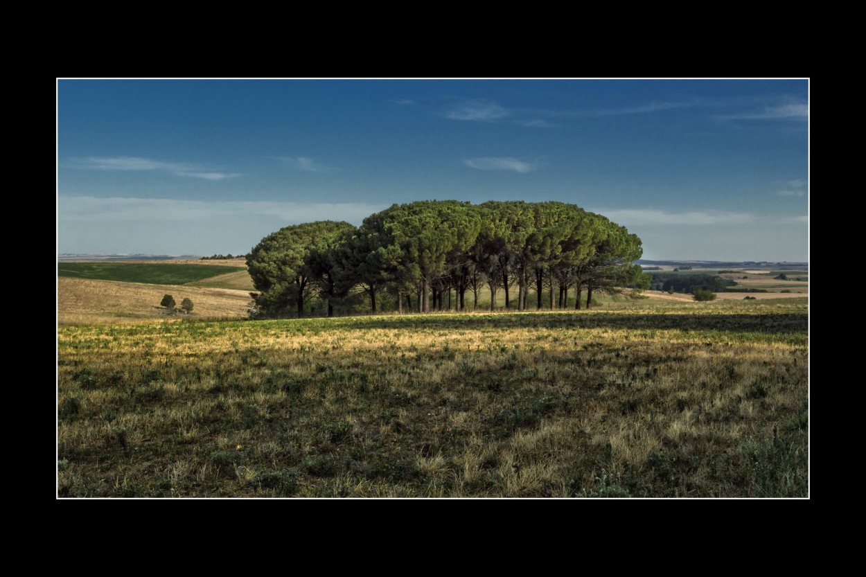 "En el campo" de Alberto Migones