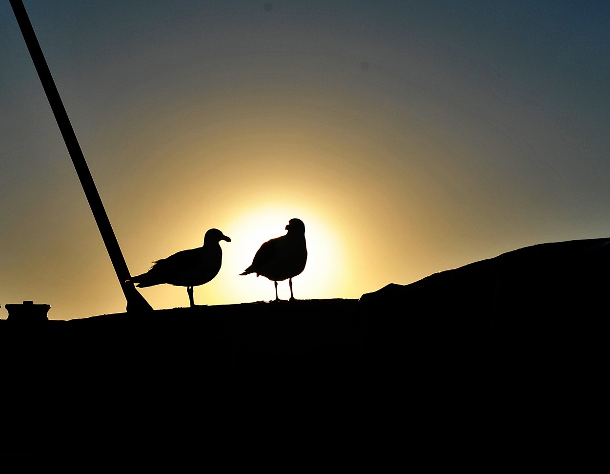 "atardecer en el golfo" de Ale Mazzei