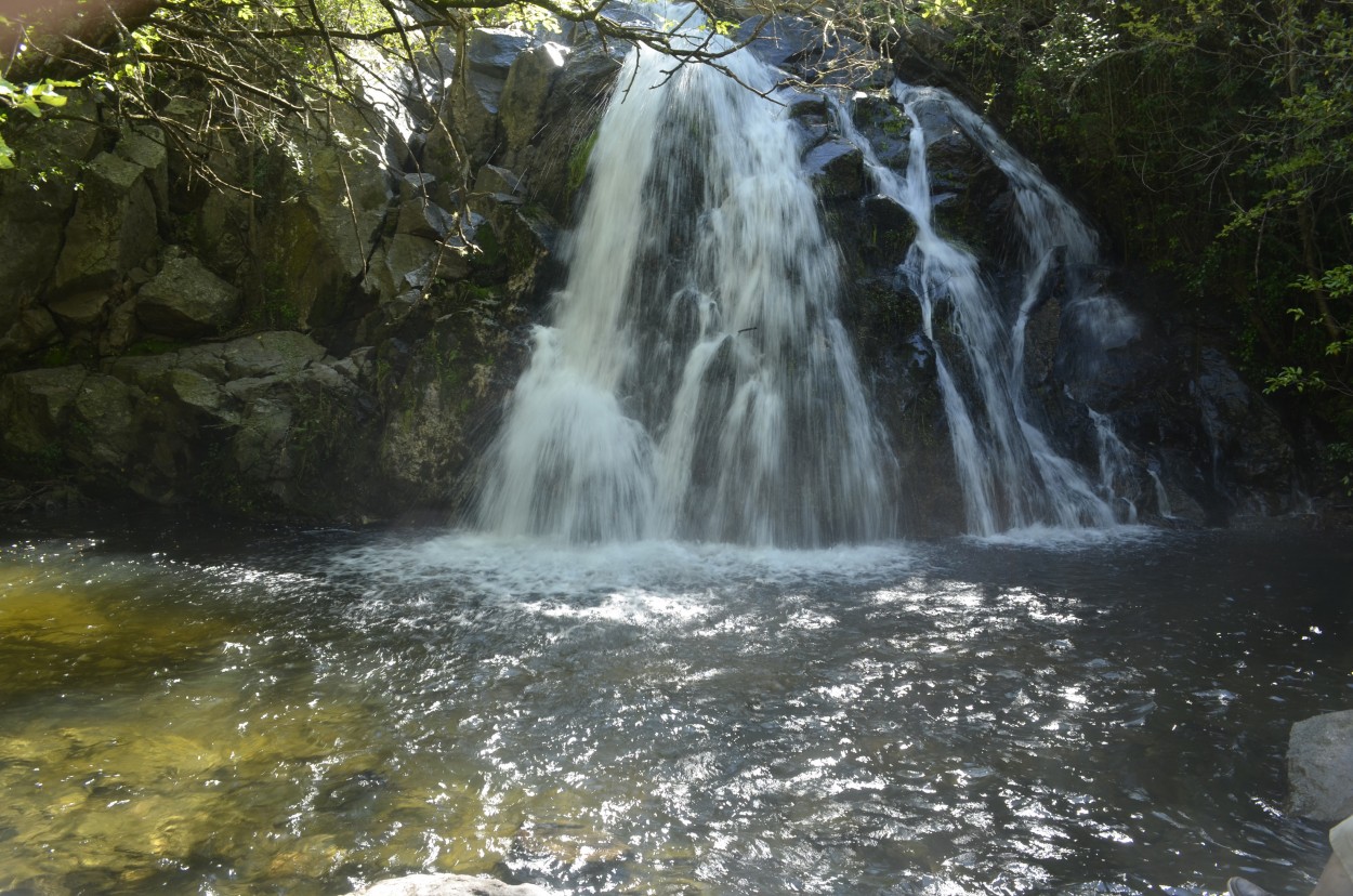 "Reserva natural la cascada." de Ismael Minoves