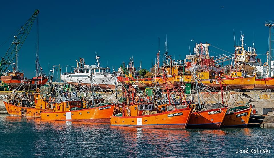 "Puerto de Mar del Plata" de Jose Carlos Kalinski