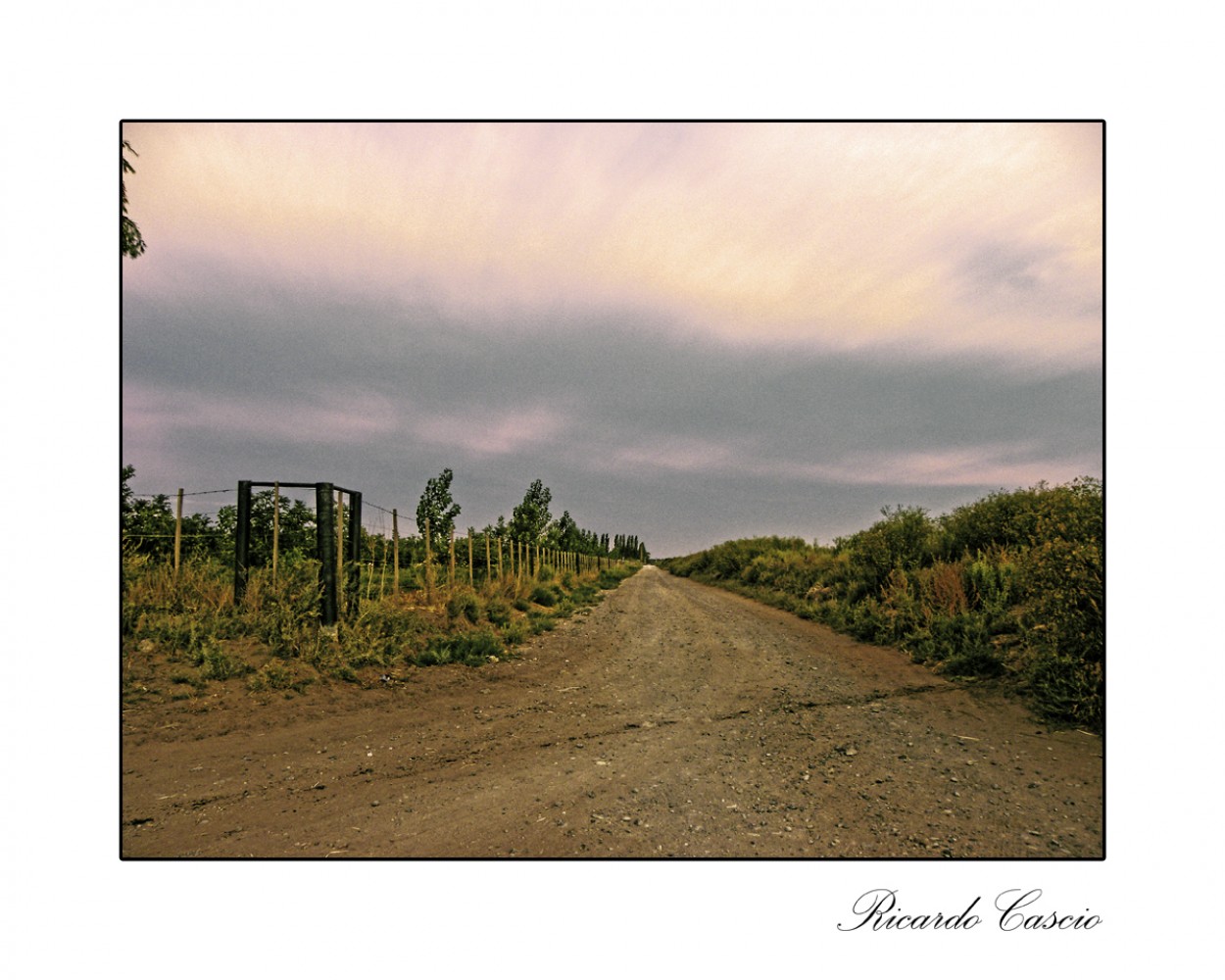 "Caminos" de Ricardo Cascio