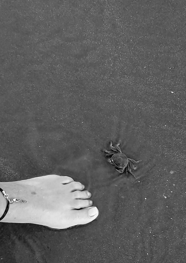 "Pedicuro en la playa" de Roberto Guillermo Hagemann