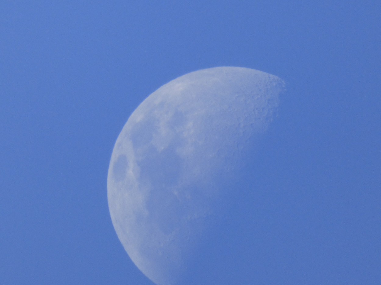 "Mi Luna a las 08:00 am" de Graciela Edith Flocco