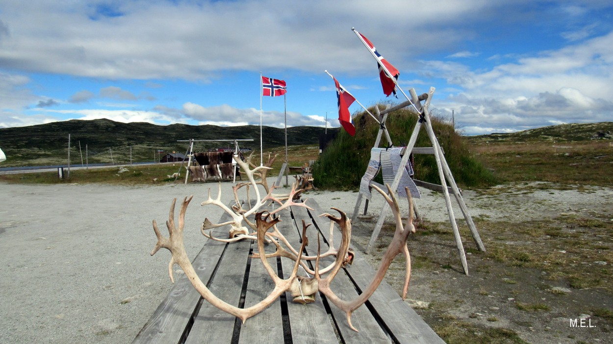 "Noruega" de Mabel Ester Lattanzi