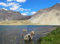 Tambin es Argentina. Laguna de Valle Hermoso !!