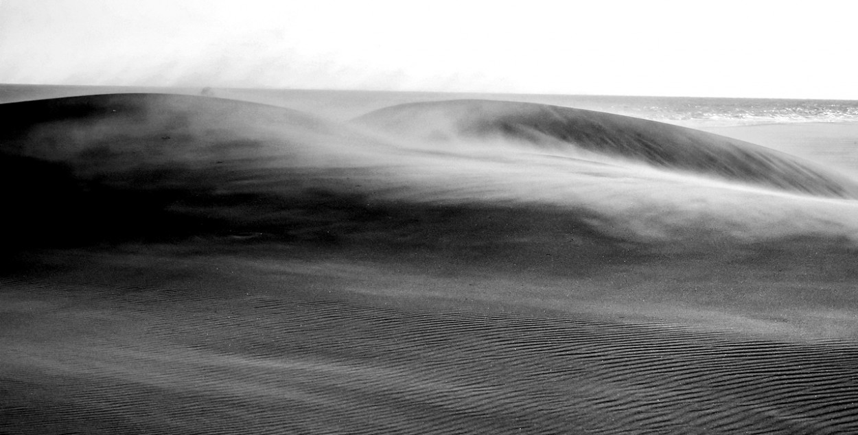 "medanos" de Laura Aschieri