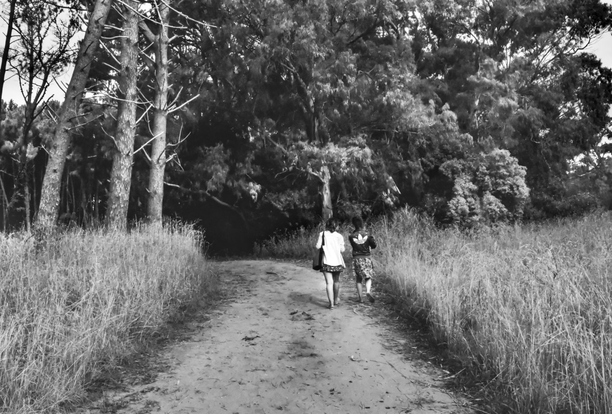 "` CAMINO AL BOSQUE `" de Graciela Larrama