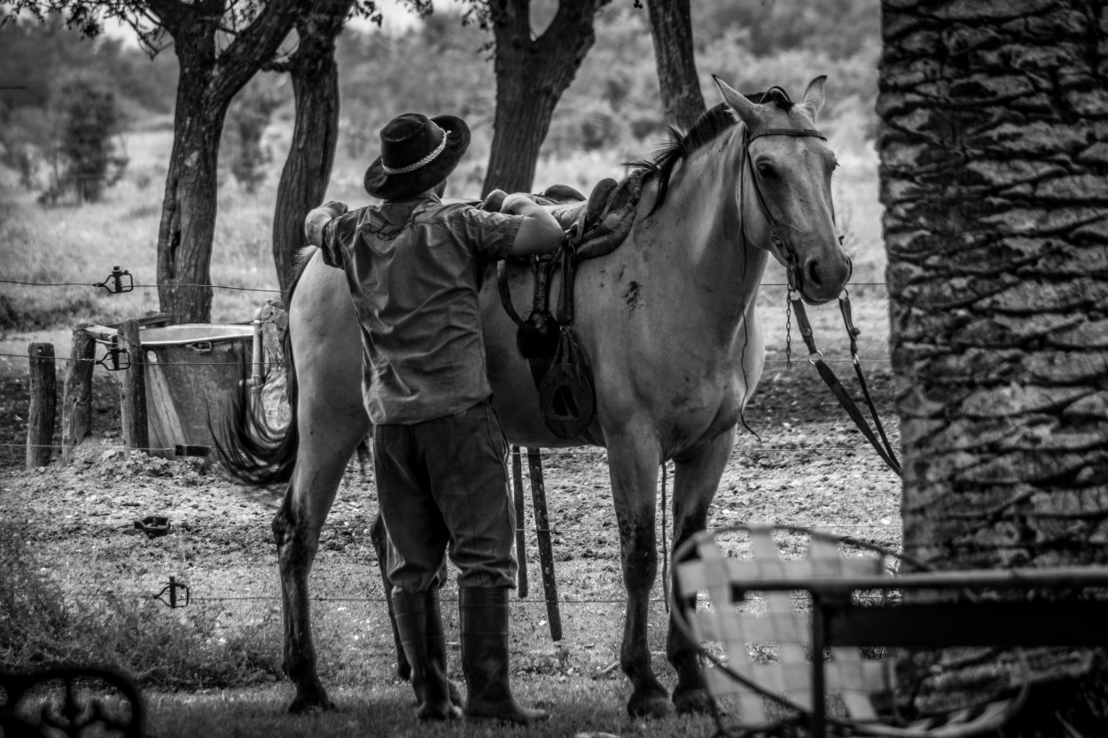 "Gaucho." de Mauricio Rossanigo