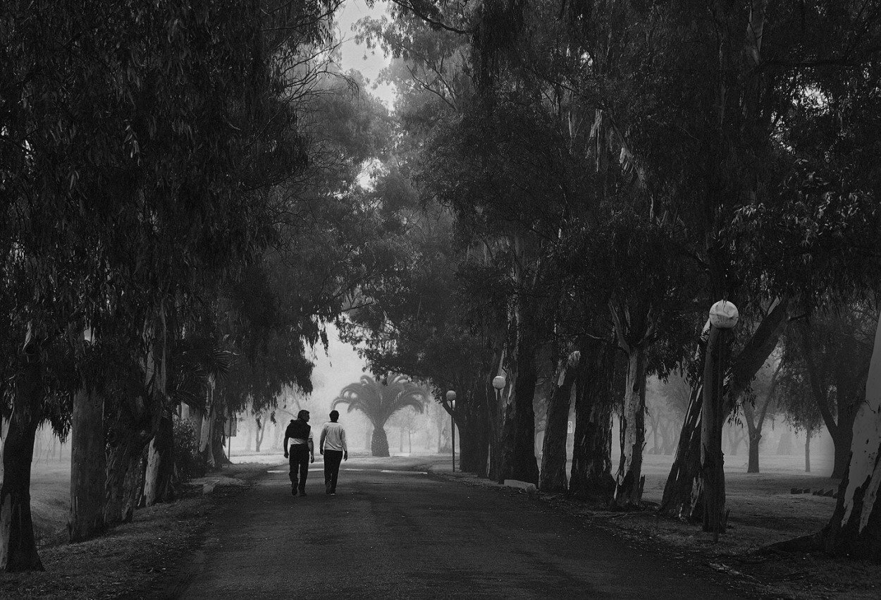 "Caminata en el parque" de Fernando Valdez Vazquez