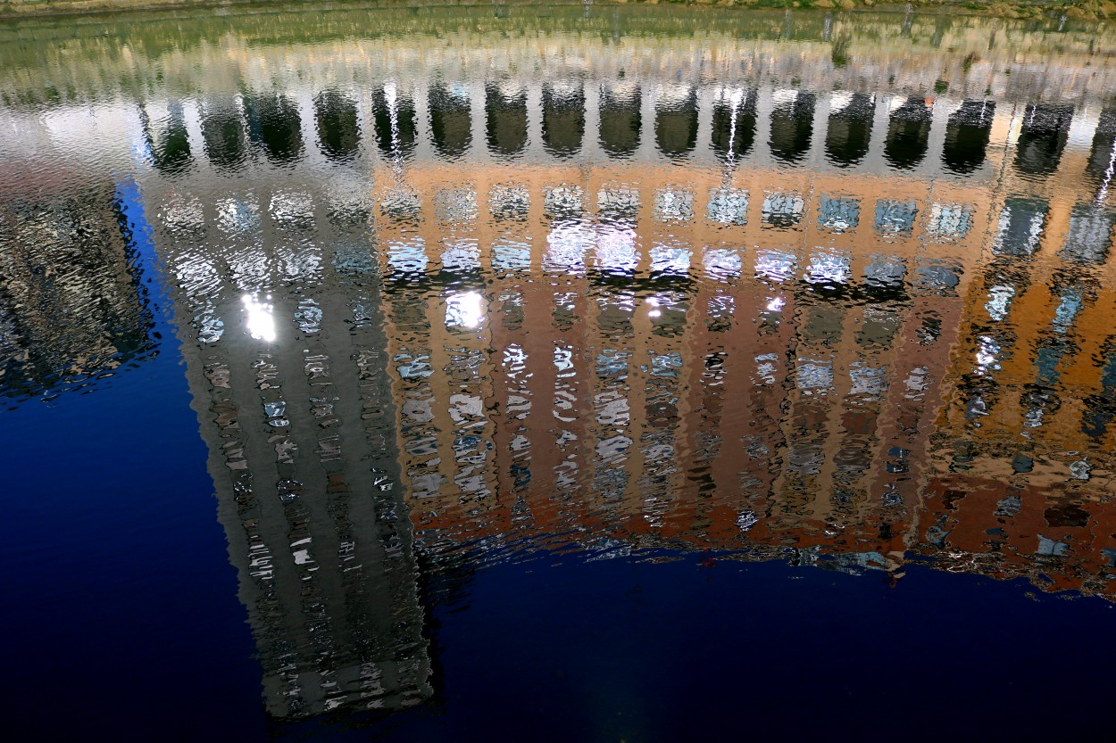 "reflejos en la ra" de Viviana Garca