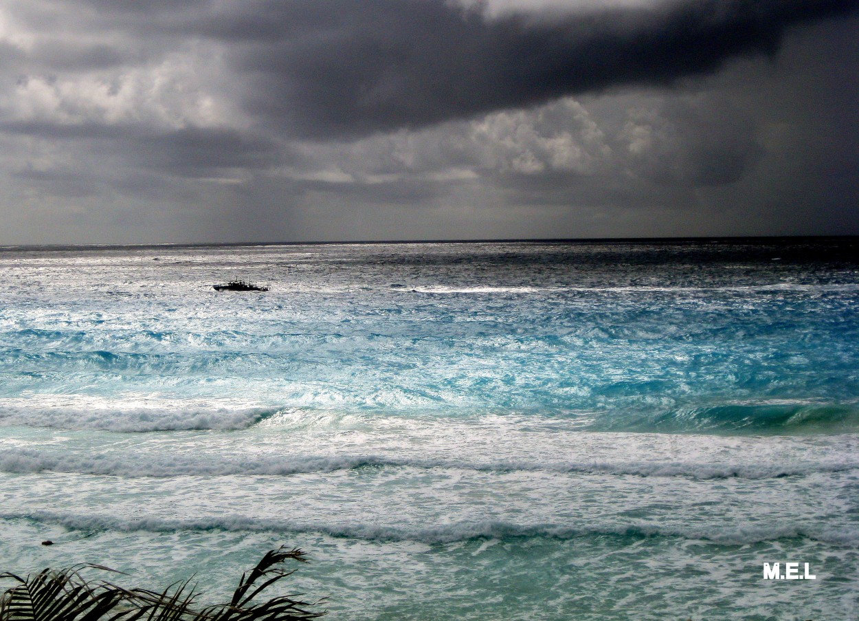 "Caribe" de Mabel Ester Lattanzi