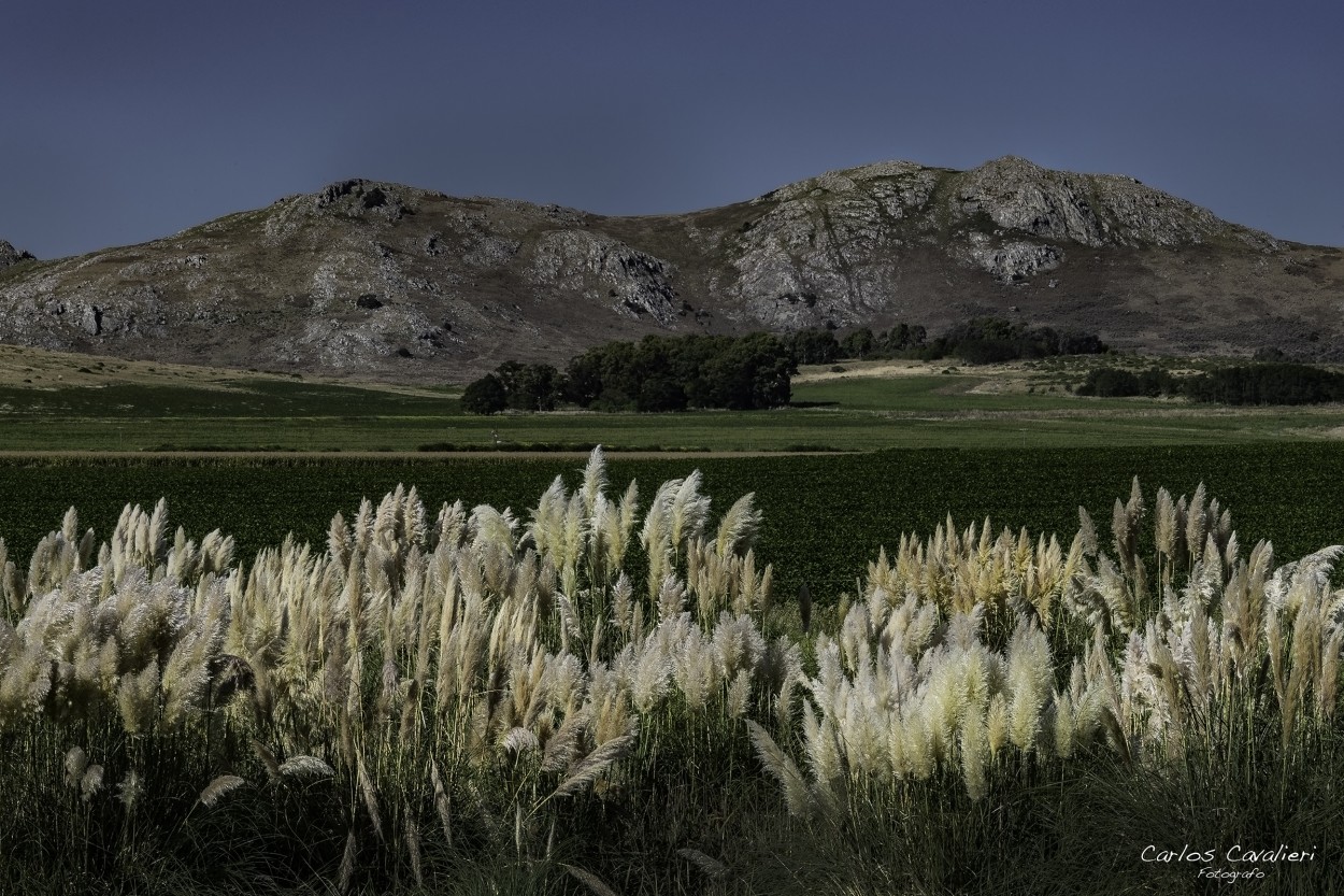 "Campos de Balcarce..." de Carlos Cavalieri