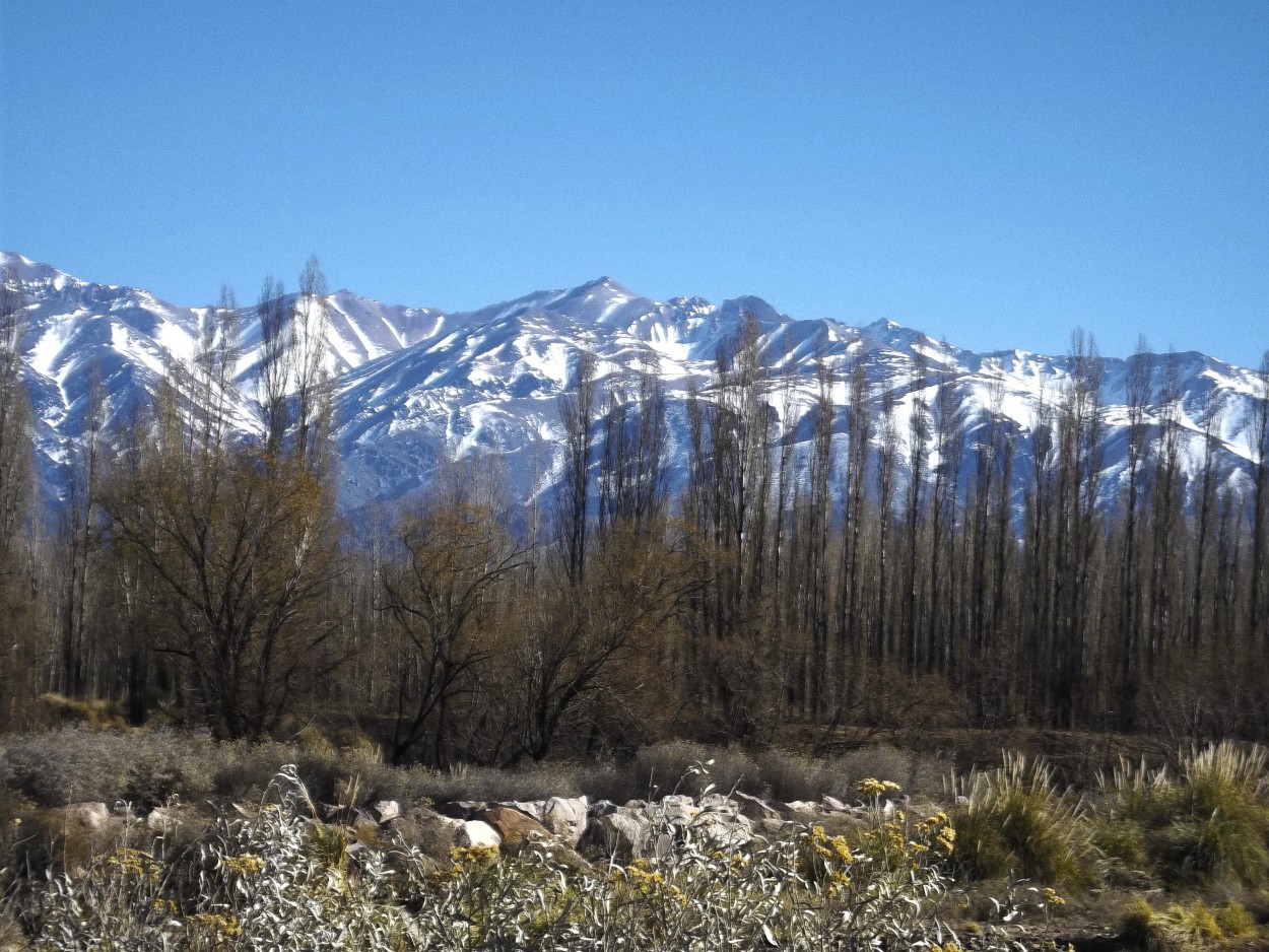 "`Cordillera mendocina`" de Iris Elizabeth Scotto