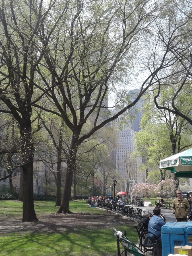 "Hermosa NY" de Amelia Pascuali de Dios