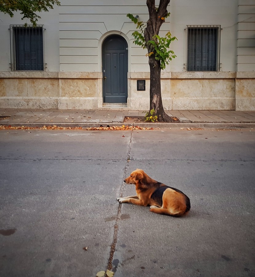 "Descanso" de Fernando Valdez Vazquez