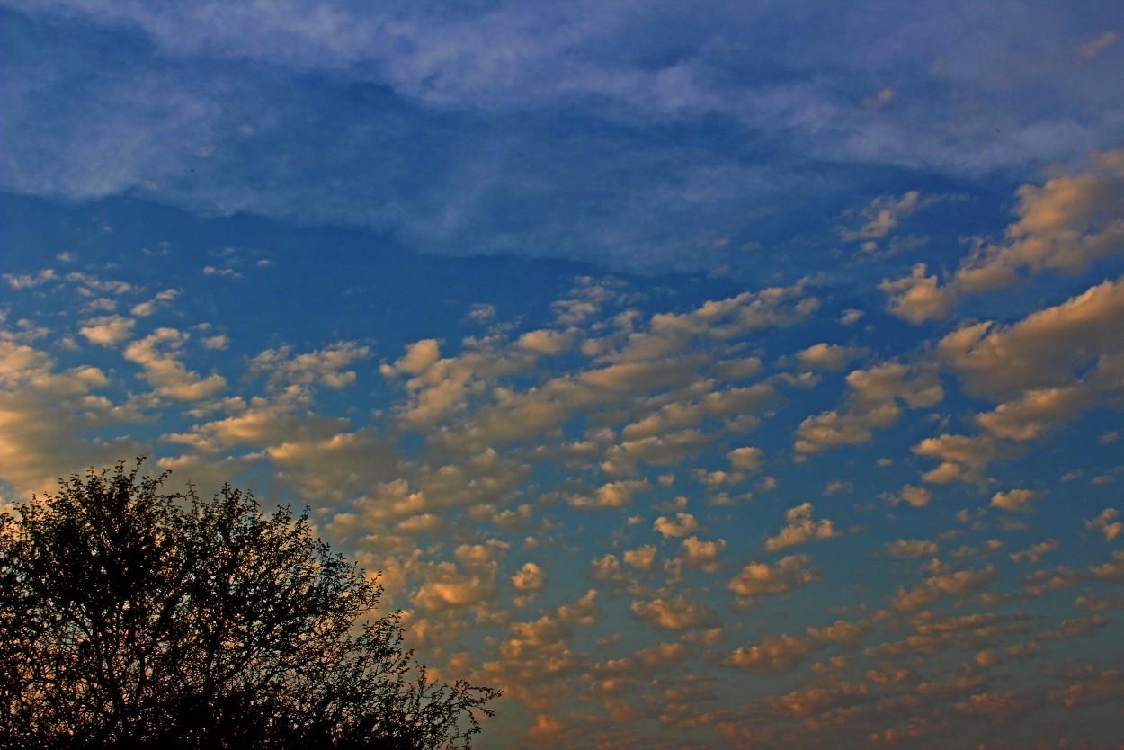 "El Camino de las Nubes..." de Silvia Emilia Guerra