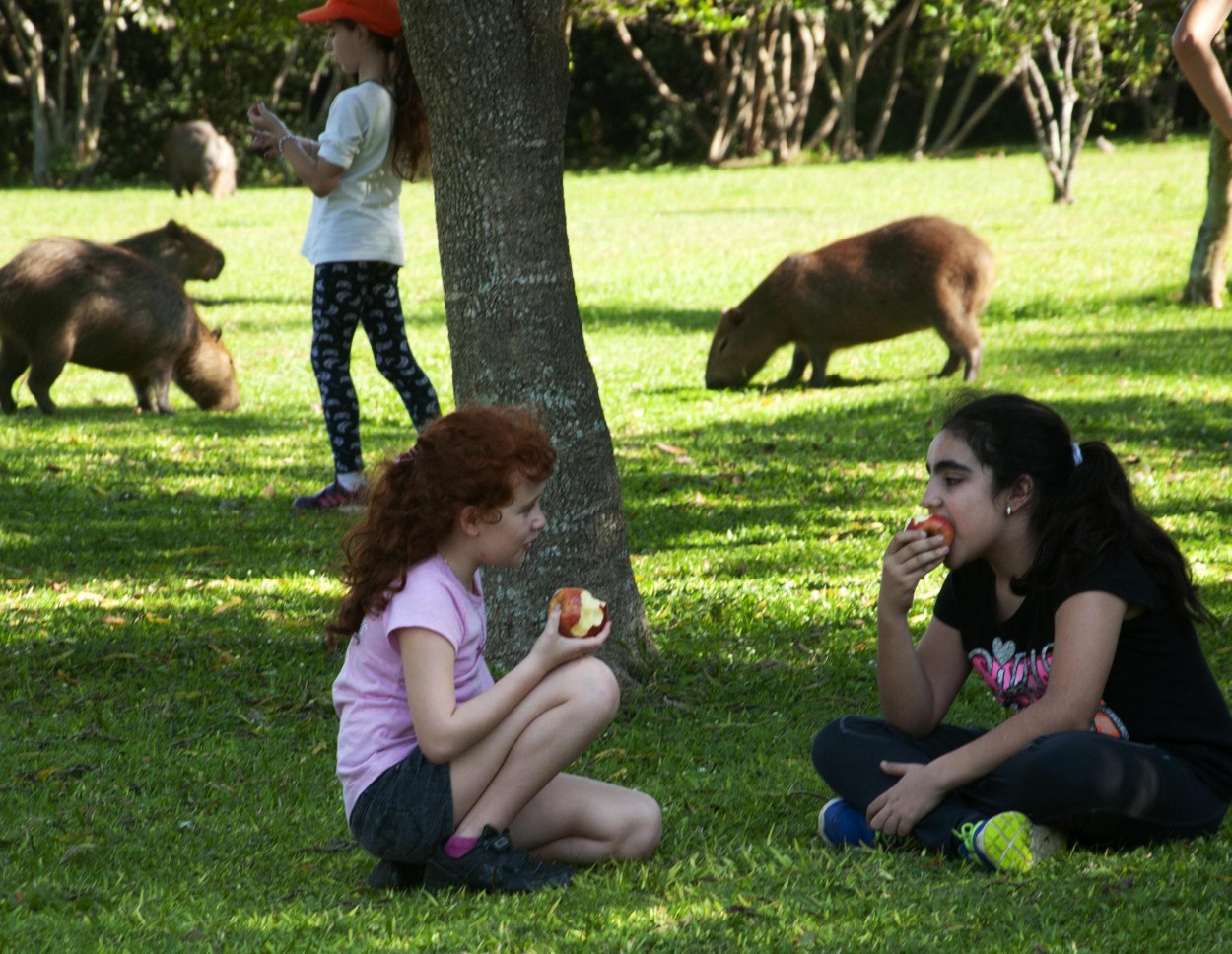 "Comiendo el postre" de Flix Edmundo Reyes