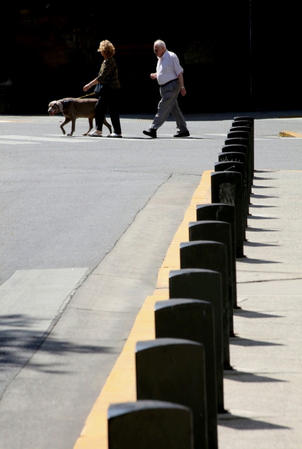 "Paseando al perro." de Francisco Luis Azpiroz Costa