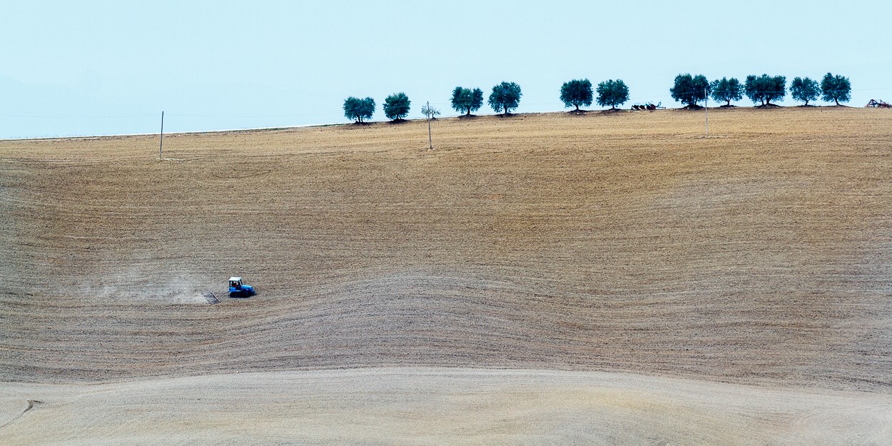 "Paseo y delirio por la Toscana" de Angel Triana