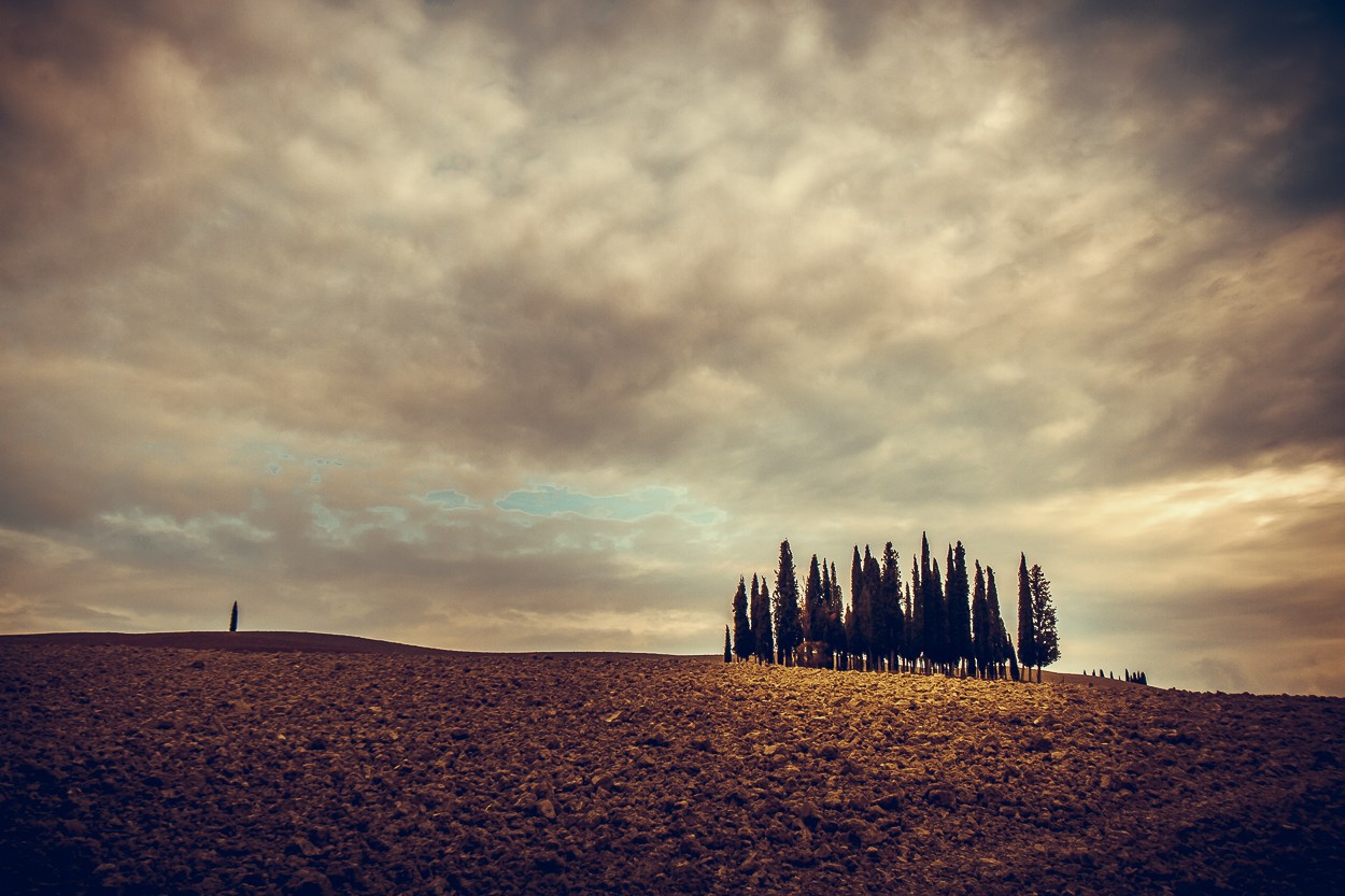 "Paseo y delirio por la Toscana" de Angel Triana