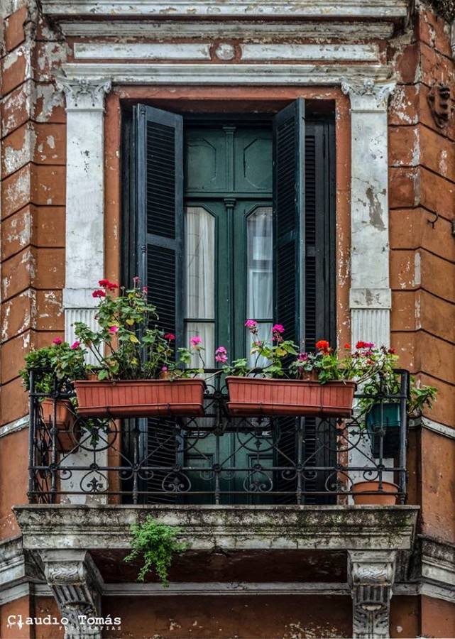 "El balcn y sus flores" de Claudio Roberto Toms