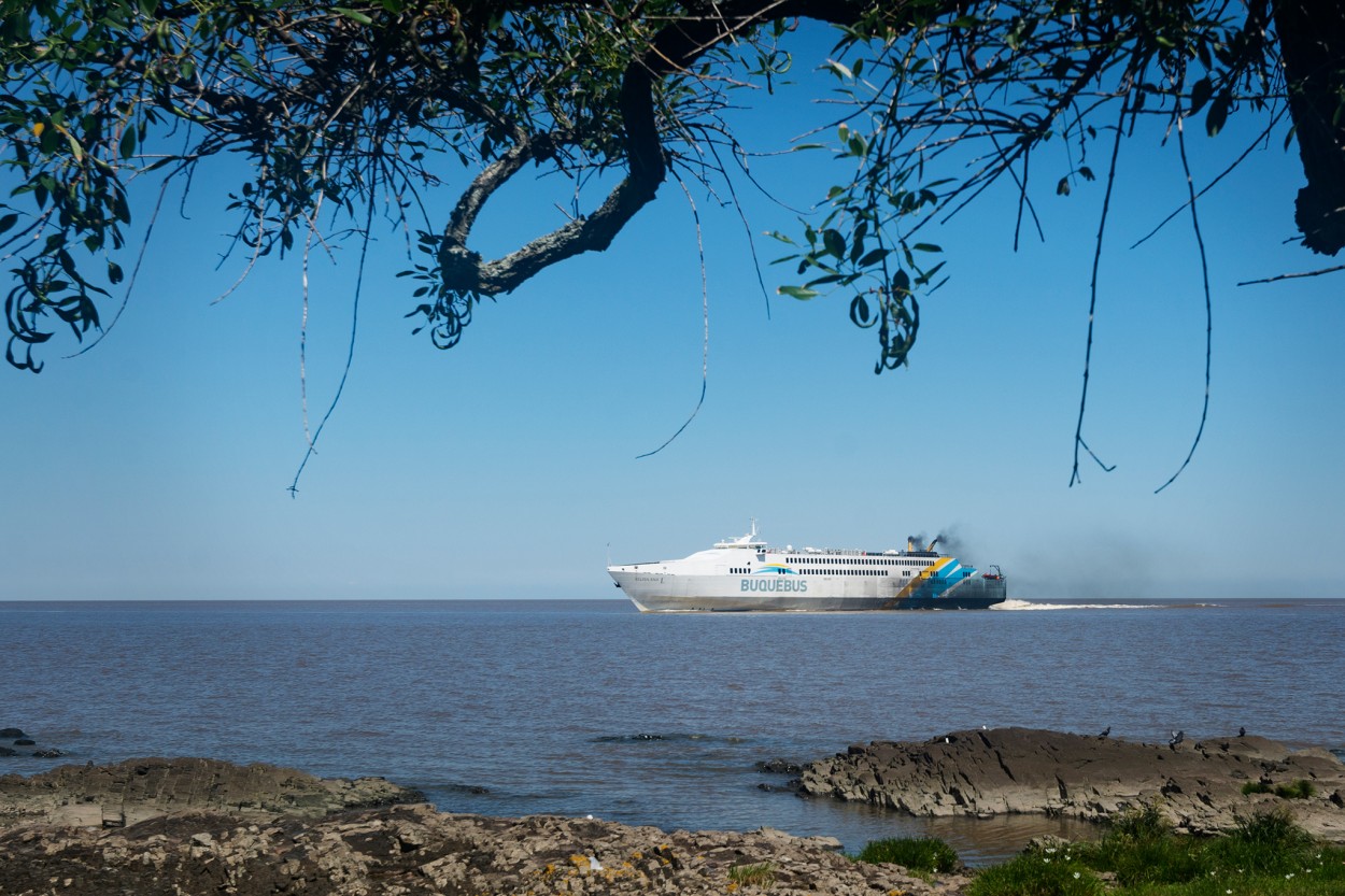 "Llegando" de Gustavo Mlica