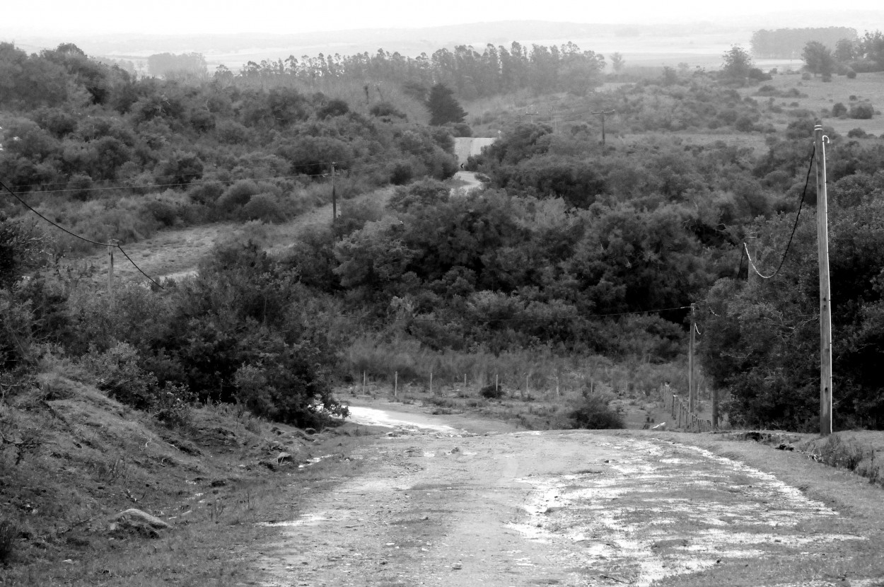 "Huir entre las sierras" de Javier Andrade