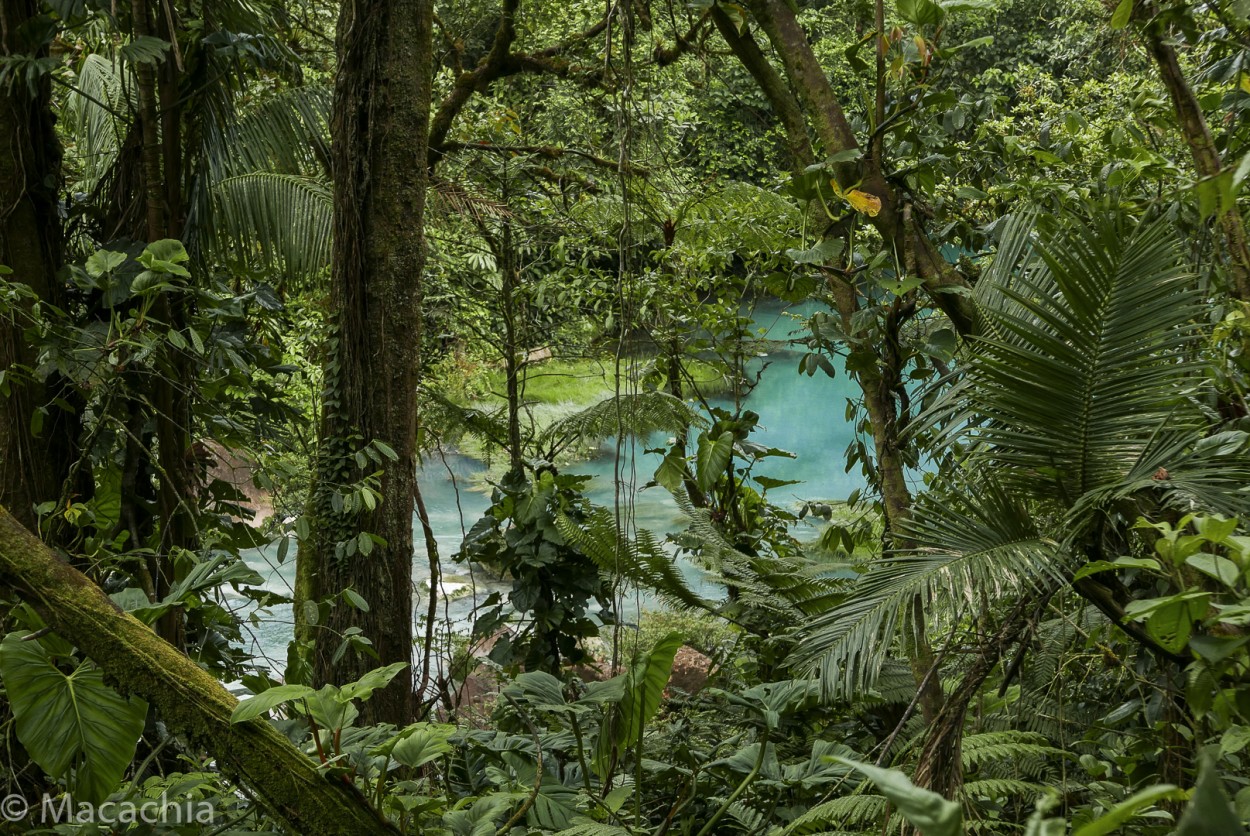 "`Rio Celeste`" de Mara Del Carmen Chiavaro