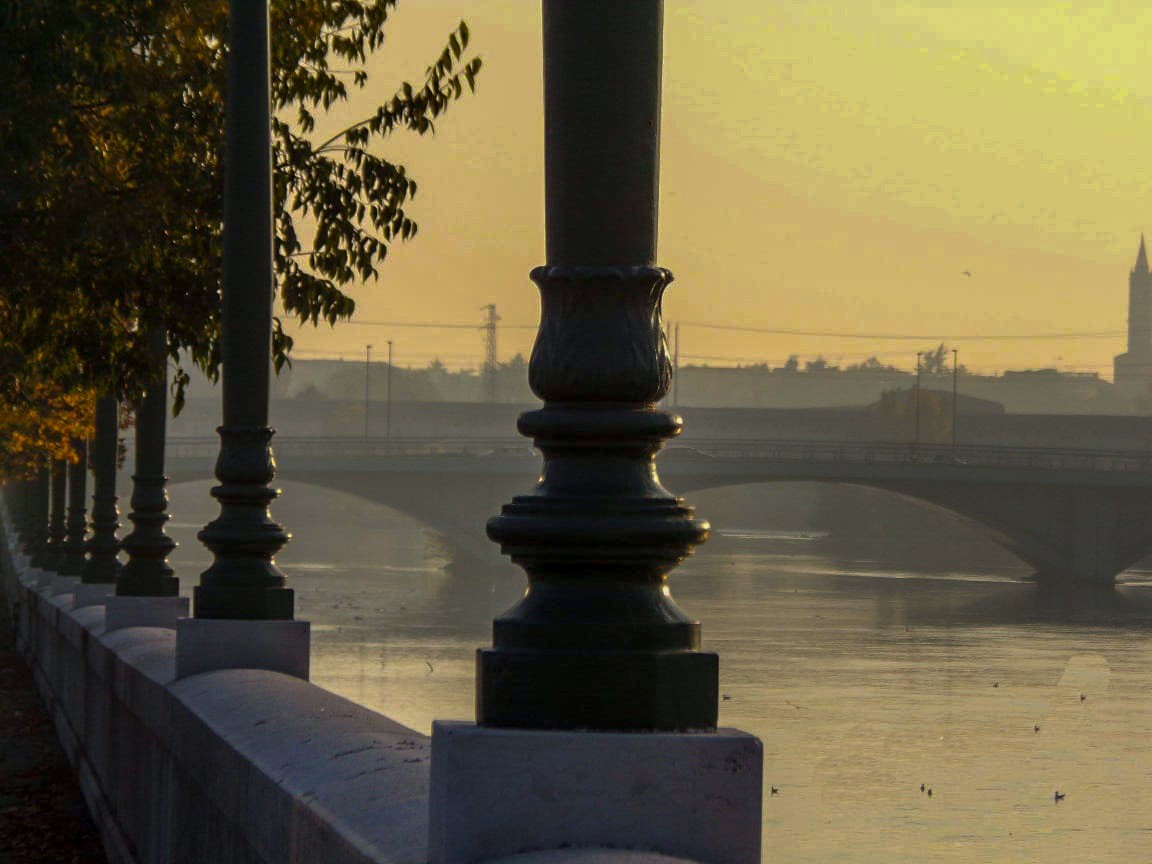 "El puente" de Graciela Banegas