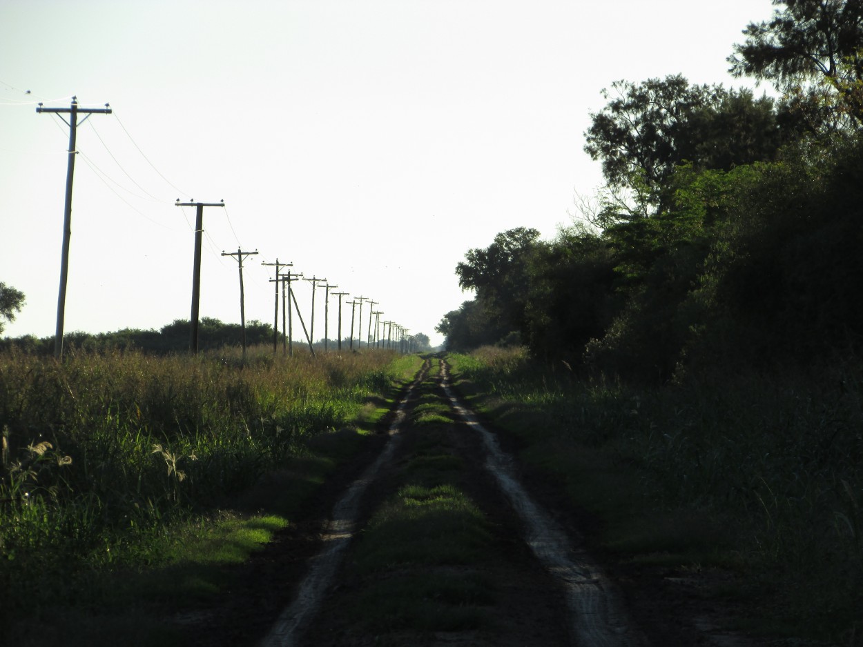 "Serpenteando caminos" de Juana Ins Ruiz Diaz