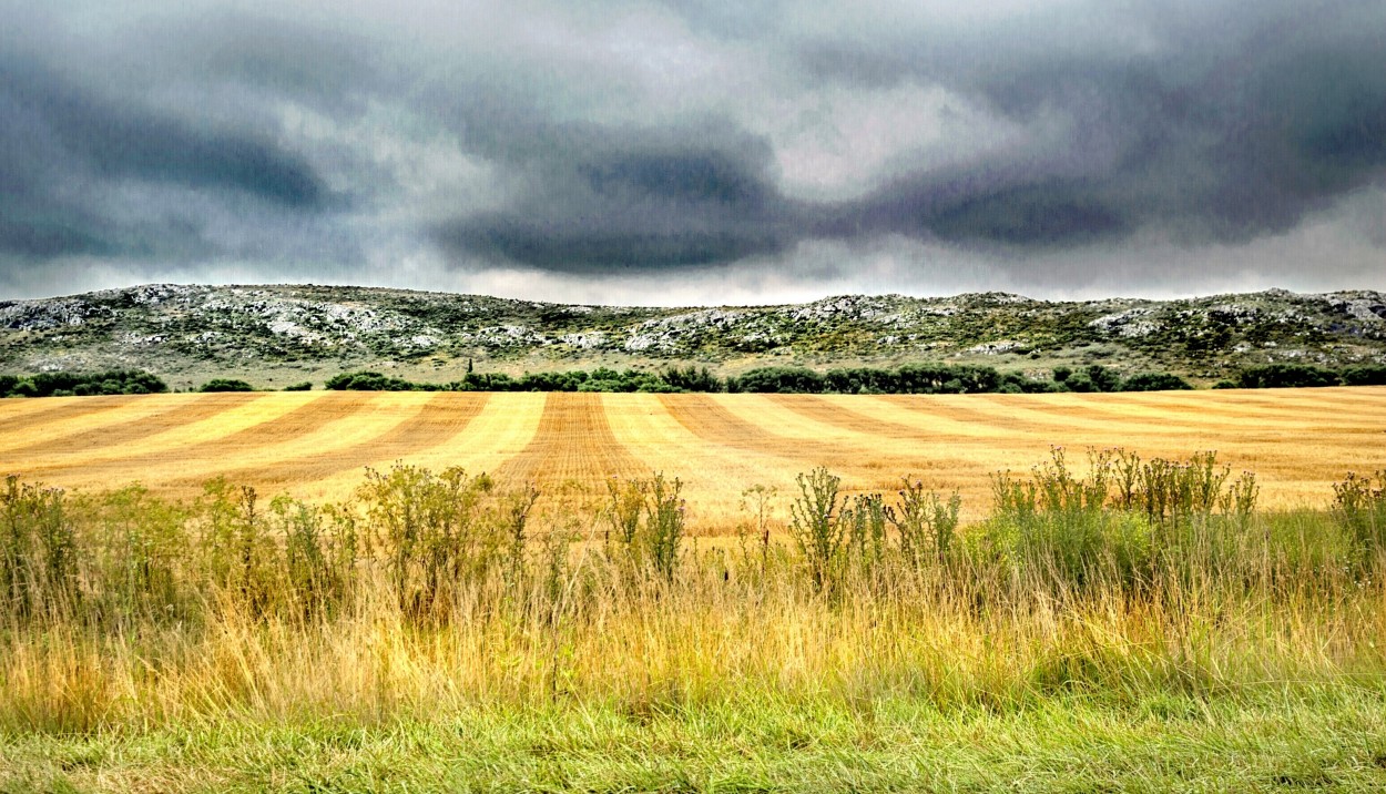 "Campo y Sierra" de Alberto Migones