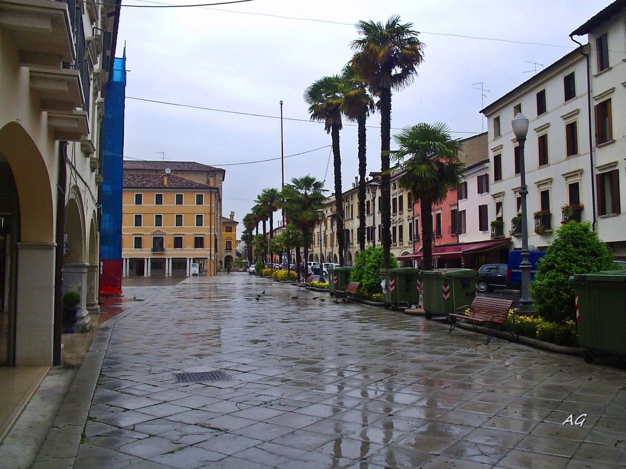 "y la lluvia me acompaaba" de Ana Giorno